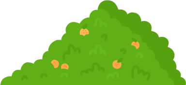 bush