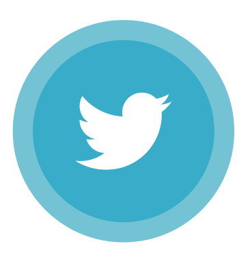 Twitter Icon